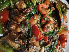 剑骨鱼啤酒炖-生态苑农庄(十里画廊遇龙河店)