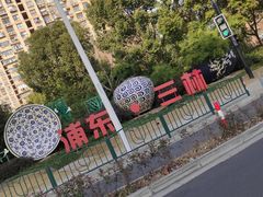 -上海师范大学附属中学(三林校区)
