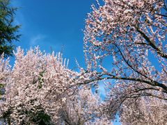 -洨河生态公园