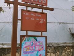 -盈香心动乐园