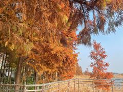 -苏州太湖国际会议中心