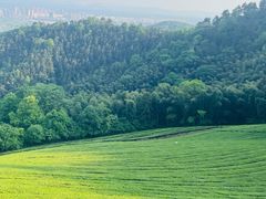 -敬亭山风景名胜区