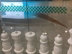 -常青藤国际象棋(新奥店)