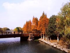 -九里河湿地公园