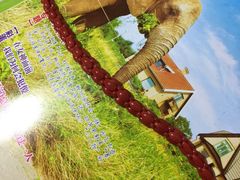 -绮丽珊瑚(台北101旗舰门市店)