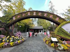 -汇龙潭