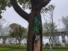 -堤角公园