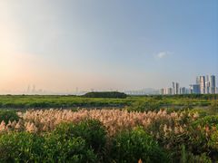 -福田红树林生态公园