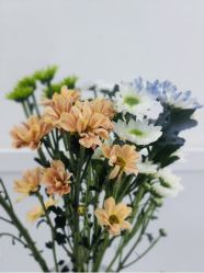 -靓芙泉专研痘痘肌