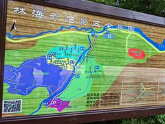 -汤旺河林海奇石景区