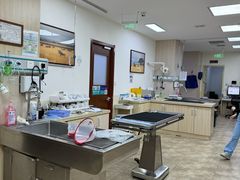 -美联众合动物医院·24h转诊中心