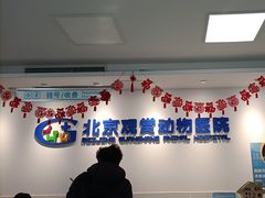 -北京观赏动物医院·24小时大型综合·猫专科·异宠专科