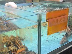 -国惠大酒楼(仓山万达店)
