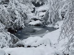 -龙苍沟森林公园