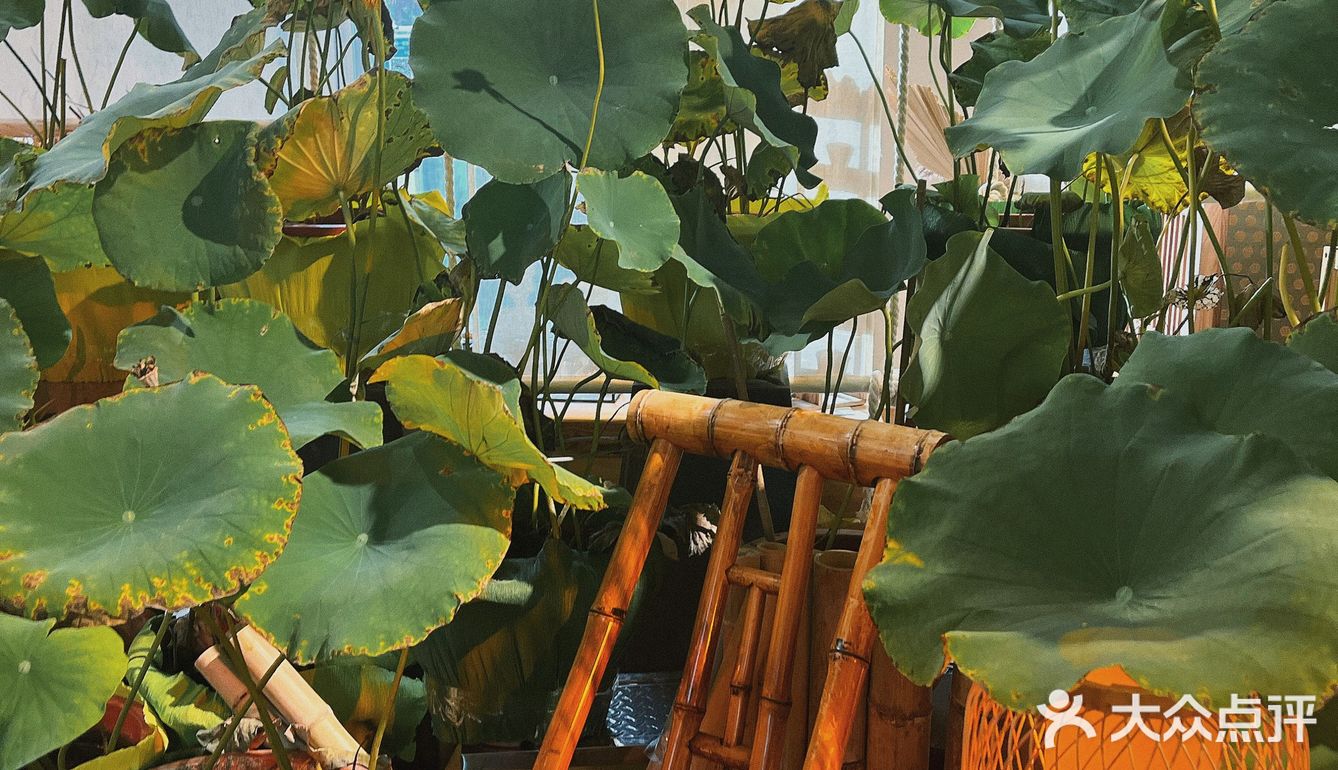 青岛的中国风小茶馆，我只服它