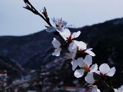 -妙峰山风景名胜区