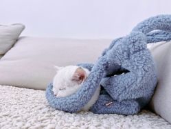 -Cici Nail日式美甲美睫工作室