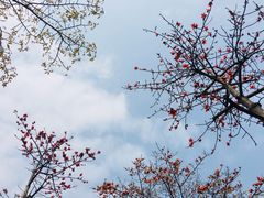 -文华公园(禅城区)