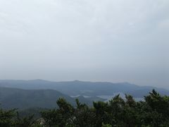 -大姆山草场