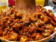 -刘记光大火锅鸡(北行店)