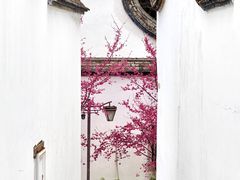 -乌山风景区