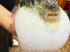 -天正河鲀·河豚亭(大连店)