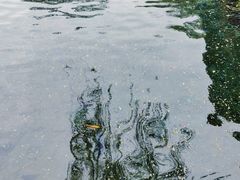 -济南大明湖景区