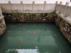 -墨池公园