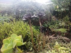 -悦哉·派对·草坪婚礼·围炉煮茶(三圣乡店)