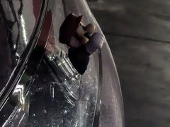 招牌大颗粒虾滑-海底捞火锅(吾悦广场店)