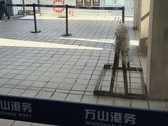 -东澳岛