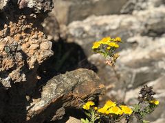 -蟠龙山长城景区