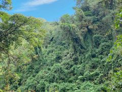 -火炉山森林公园