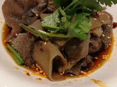 红油黑毛肚-香阁餐厅·常州菜·常州菜代表品牌(新北奥体店)