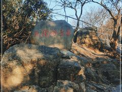 -紫金山山顶公园