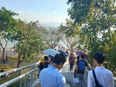 -宝安西湾红树林湿地公园