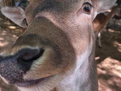 -鄂尔多斯野生动物园