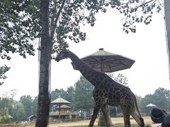 -大连森林动物园