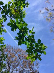 -TWOFACE 双面理发馆