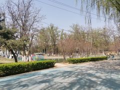 -青龙湖公园