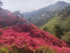 -木兰云雾山