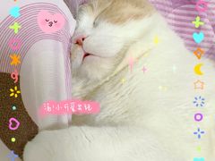 -福州肆爪动物医院