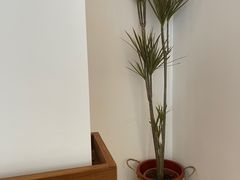 -Line来恩咖啡(石厦花园店)