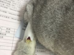 -达爱动物医院·犬猫分区·CT·复杂眼科(远洋山水分院)