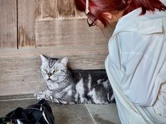 -龙华素斋(龙华路店)