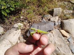 -碓臼峪自然风景区