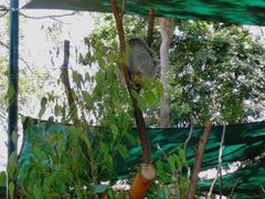 -可伦宾野生动物保护区