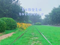 -永定河休闲森林公园