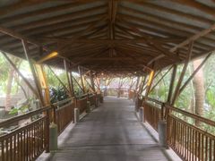 -海口观澜湖火山温泉谷