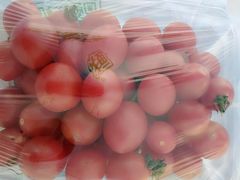 -鲜丰水果(九洲新世界花苑店)